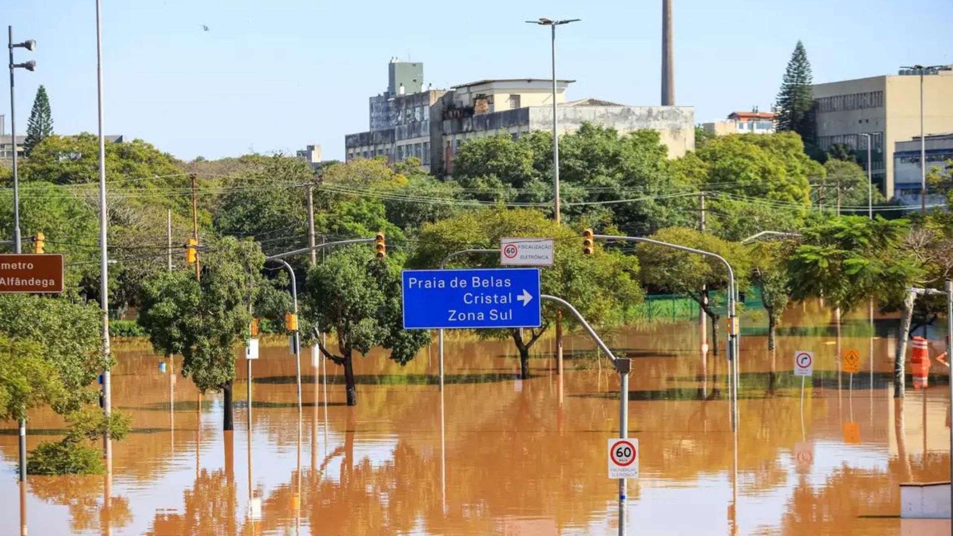 As chuvas que atingiram o Rio Grande do Sul também afetaram a produção agropecuária: Mortes de animais, perda de lavouras e semeadura