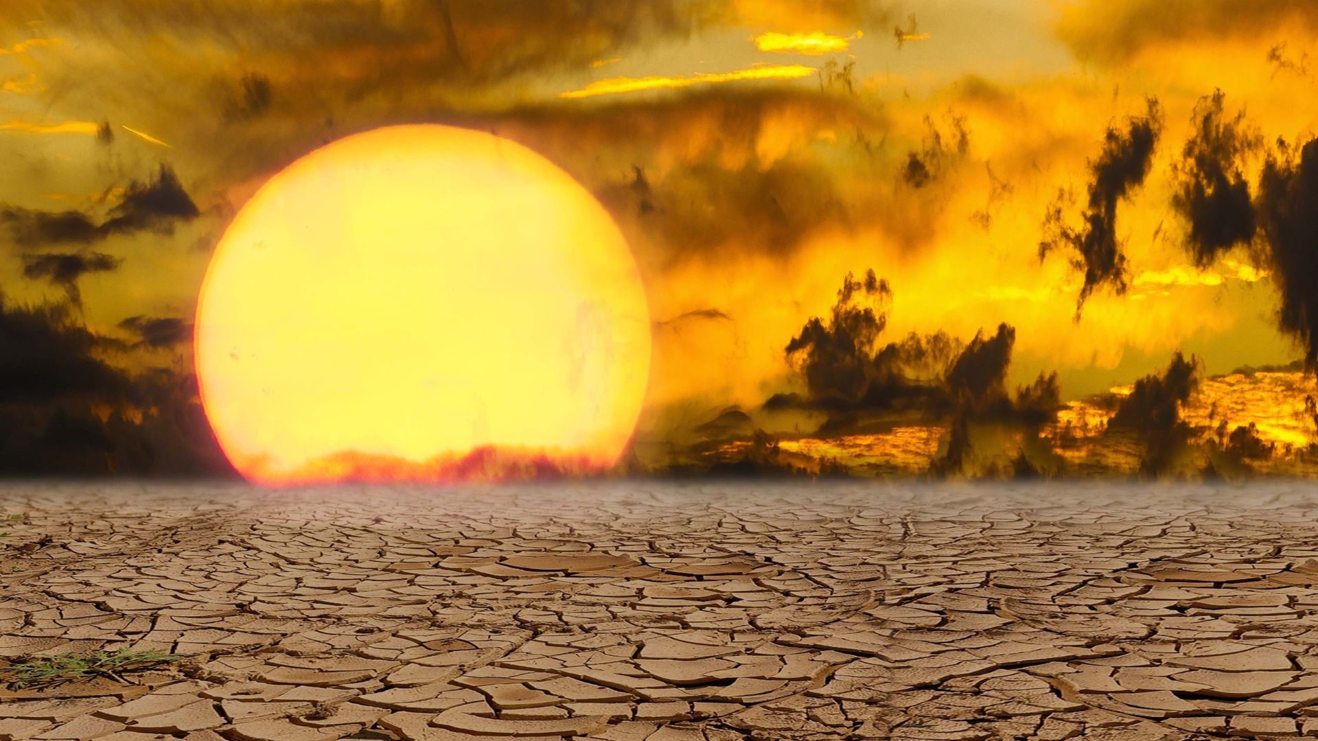 Brasil tem 8ª onda de calor do ano nesta semana; marcas podem superar 40°C no Centro-Oeste